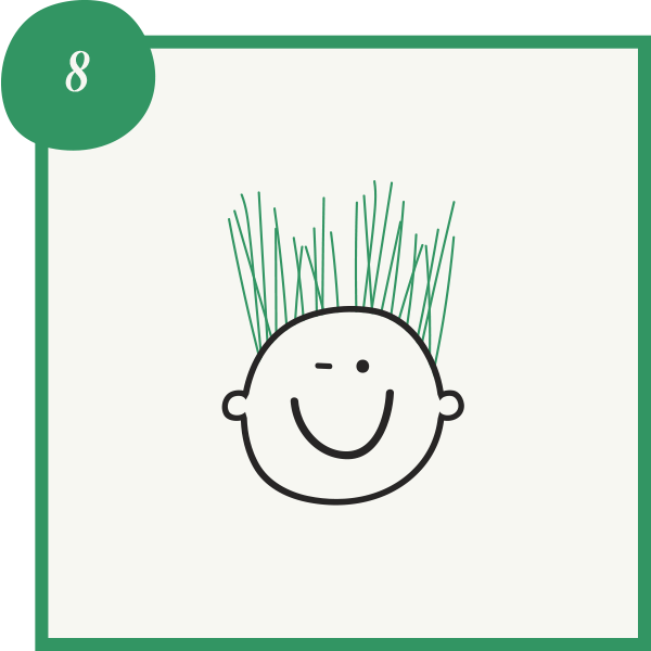 Instructive image - watch your grass head grow